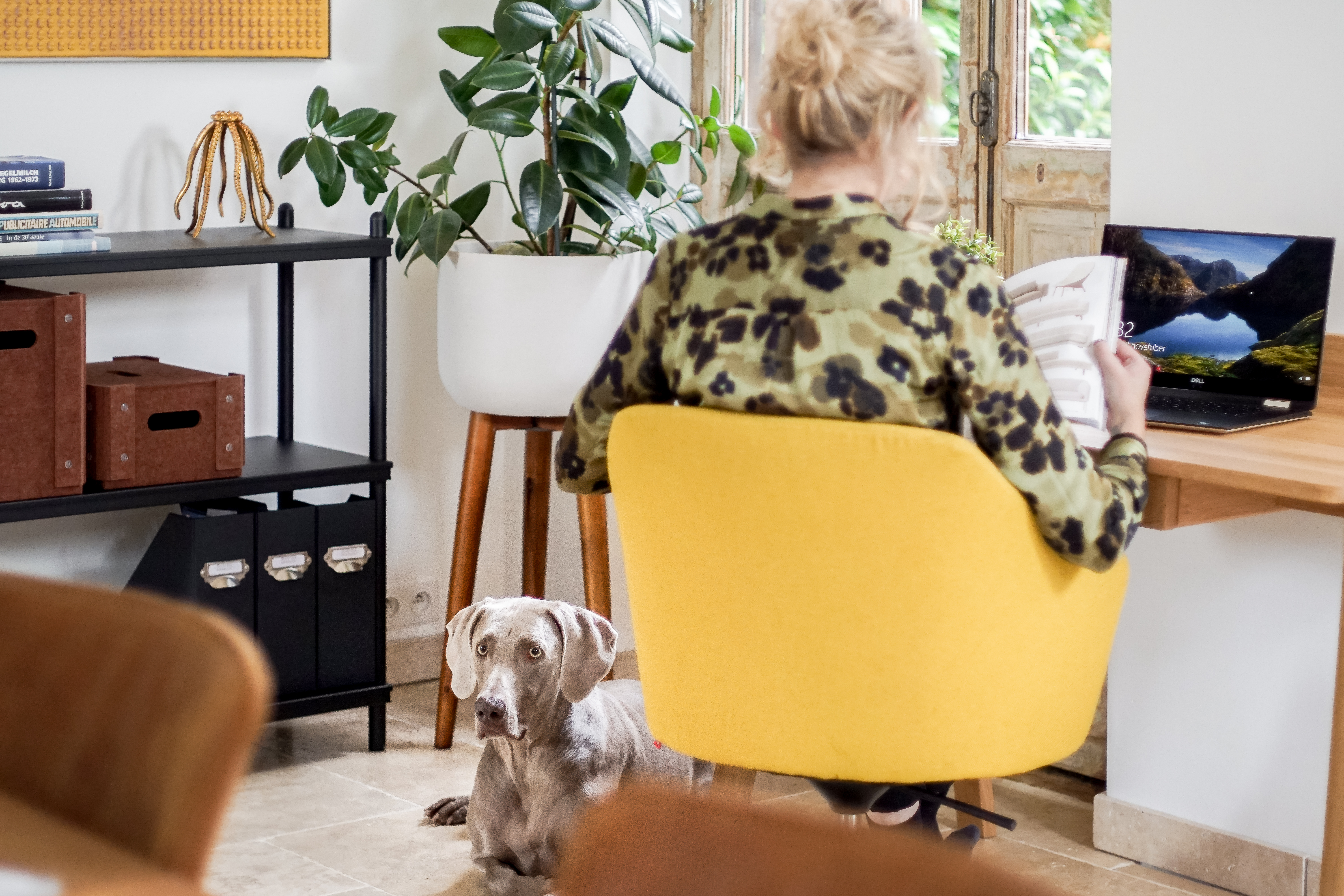 Thuiskantoor van Drisag met gele Charlie stoel en hout Homie bureau en hond