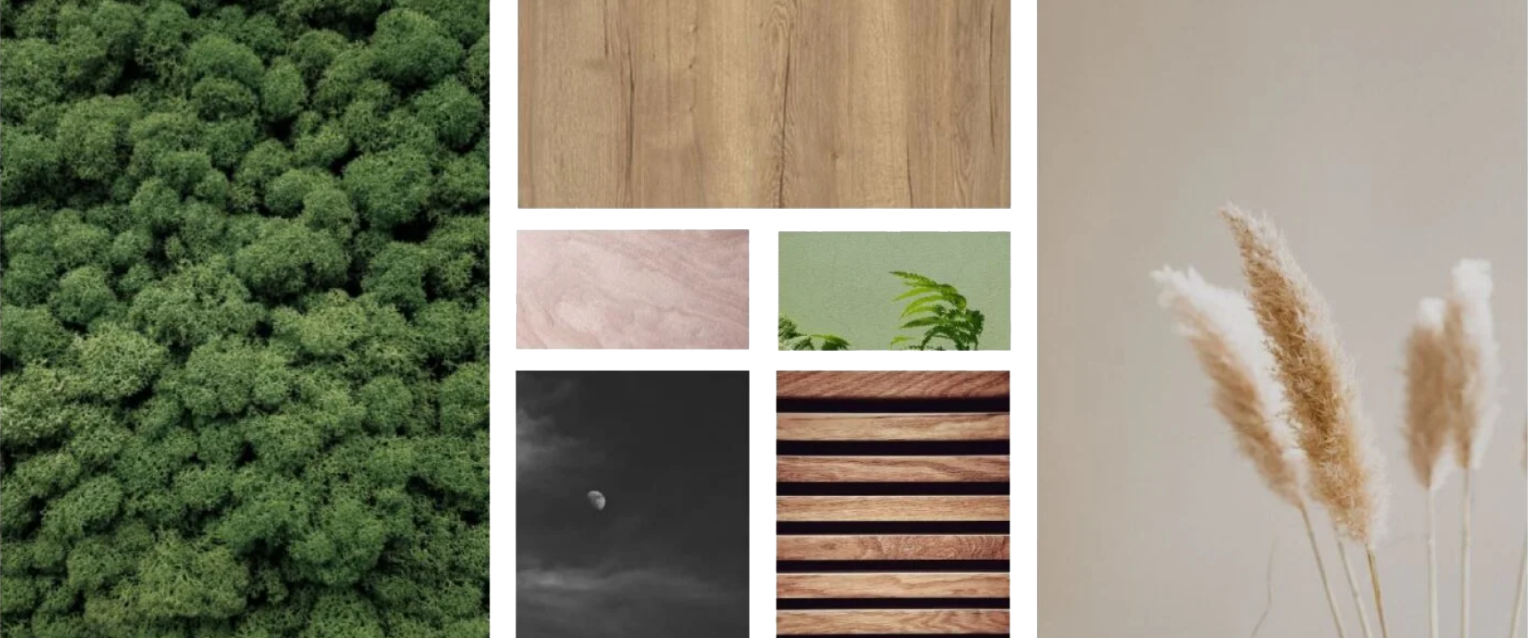moodboard van kleuren en texturen, mos, hout, planten, pampas gras